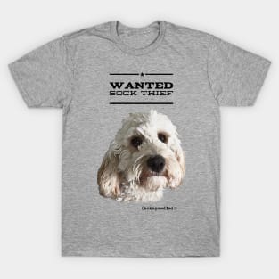 Cockapoo / Doodle Dog Sock Thief T-Shirt